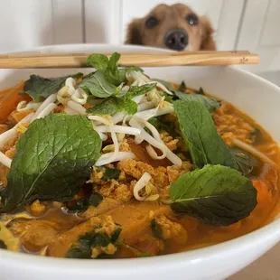 food, curry