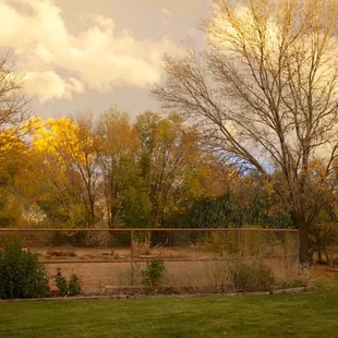 Last fall - great evening photo when the leaves were turning.