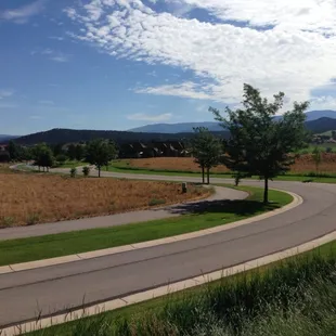 Baca's Treea doing what they do best!