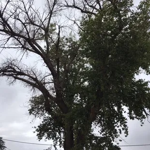 It may be too late now. What a pity.