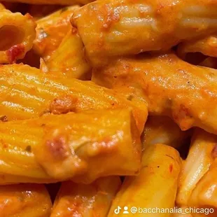 Rigatoni in Our Delicious Vodka Sauce