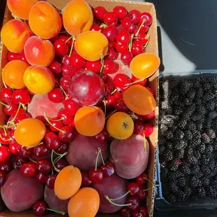 Cherry peaches blackberry and apricot