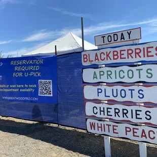 What are available today