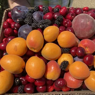 $30 box
