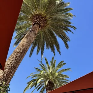 Gorgeous spot for a glass of wine and meal.