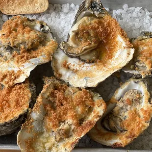 Now this is why I came to visit my buddies