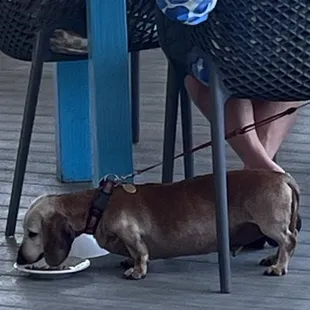 EVERYONE is welcomed and treated well at Bacchus!