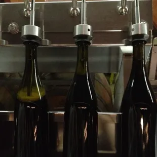Bacchus Winemaking Club