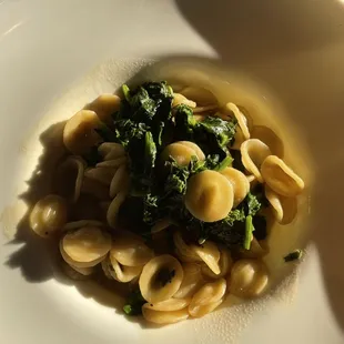 Orecchiette