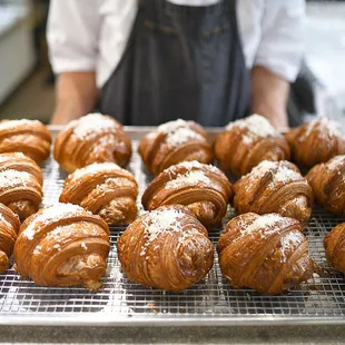 Ham &amp; Cheese Croissants