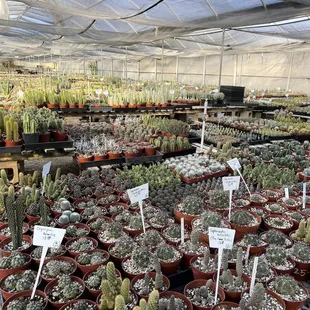 Much more then you see!