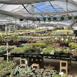 first greenhouse nearest to the retail/checkout section