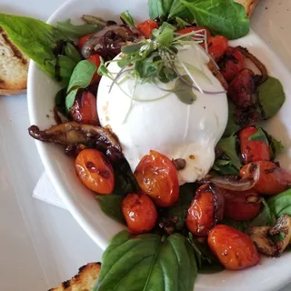 Fresh Burrata