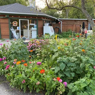 Pretty flower garden on the side of Bacino&apos;s