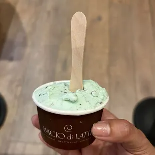 mint chocolate chip