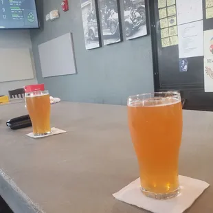 two glasses of beer on a bar