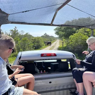 The same group of horses during our tour.