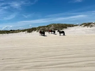 Corolla Jeep Adventures