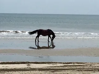 Humvee Adventure Tours