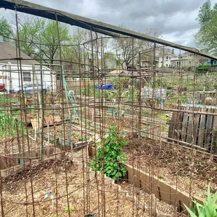 Community Garden