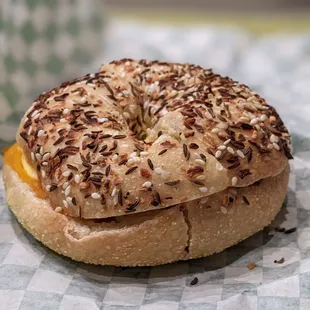 Back East Bagels