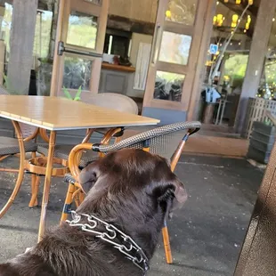 Dog friendly front patio