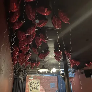 2-18-2023 left over Valentine's Day balloons.