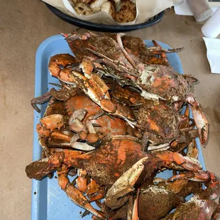 Blue Steamed Crabs By The Dozen