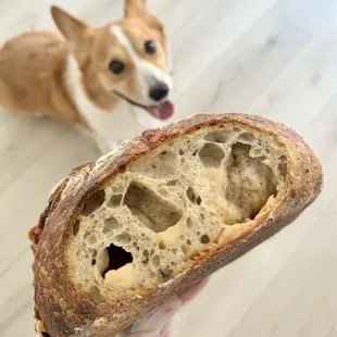 Asiago and Black Peppercorn