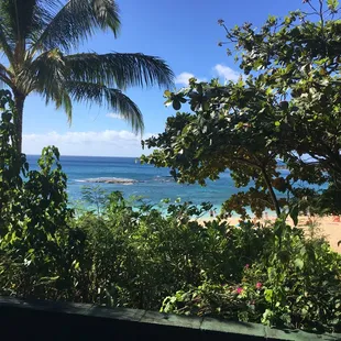 View from Lanai