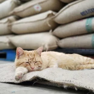 Looks like somebody needs more coffee!