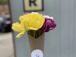 Backstory Coffee Roasters