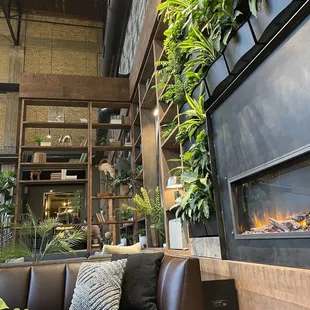 Fireplace, real plants, and coziness.