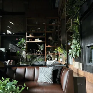 Backstory Coffee interior