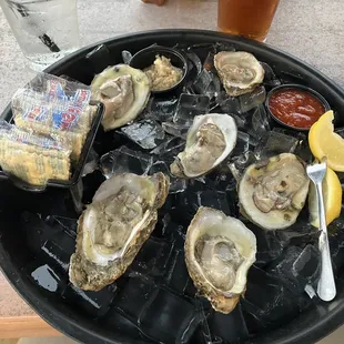 1/2 dozen oysters