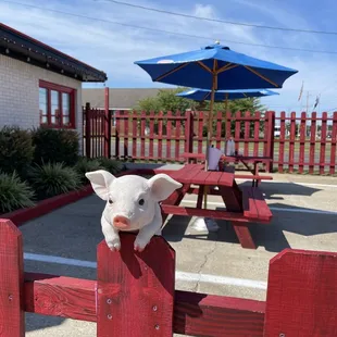 Outdoor seating area