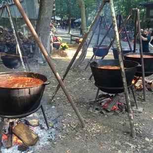 Backwoods Fest