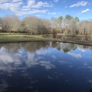 the reflection of a pond in the foreground