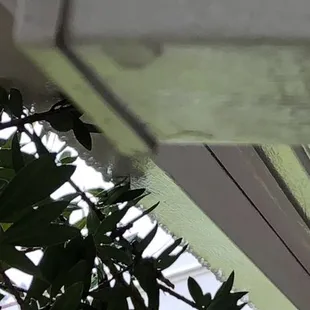 Leaks
