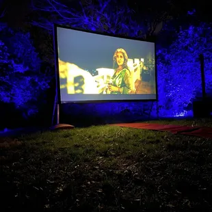 The incredible set up in our backyard