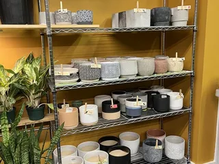 Drips Botanical Elements