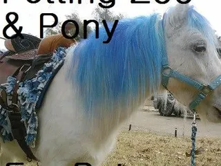 EwePet Mobile Petting Zoo & Pony Ride Parties