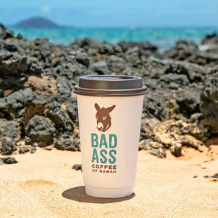 oysters and mussels, drink