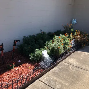 They do have a drive through.