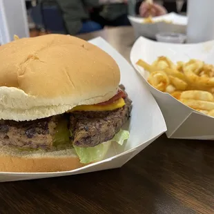 Hamburger and side order of fries