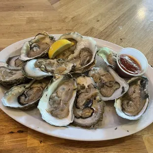 A dozen Oysters on the Half Shell