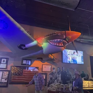Shark Plane