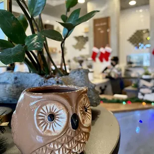 Bad Owl coffee - highly recommend!