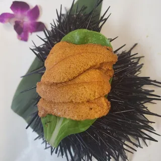 Uni Sashimi