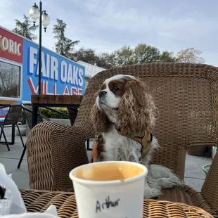 The interior is great but I'm a sucker for a lovely patio setup.